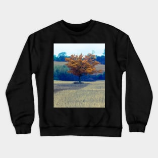 Fall Tree In Field 2 Crewneck Sweatshirt